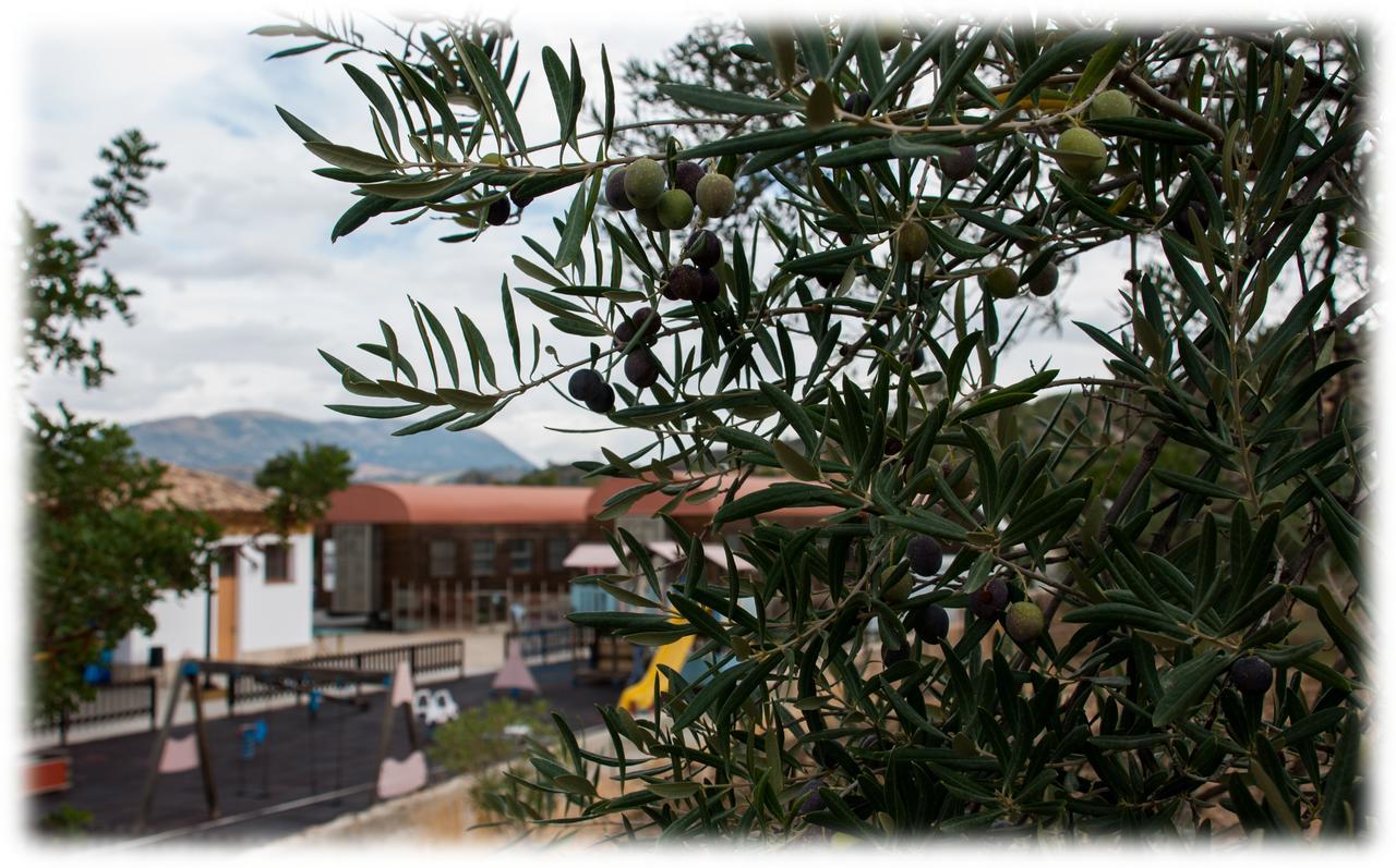 Hostal- Restaurante Estacion Via Verde Ольвера Экстерьер фото